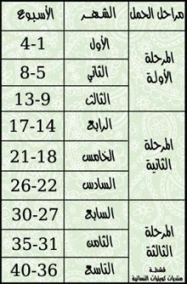 حساب الحمل بالاسابيع - بطريقة سهلة وبسيطة: