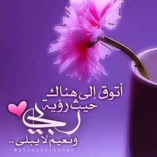 صور عرض حلوة - اجمل الصور للعروض 1697 11