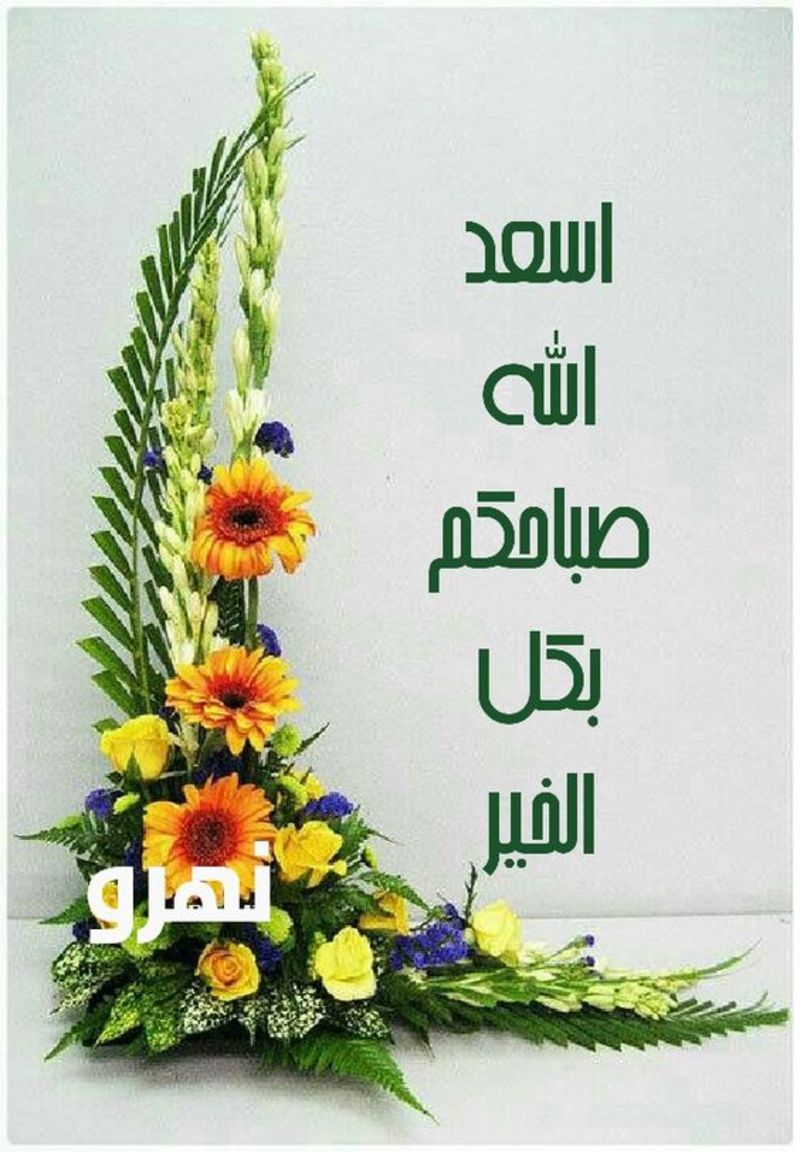 صور صباح الخير - احل صور في الصباح 4571 6