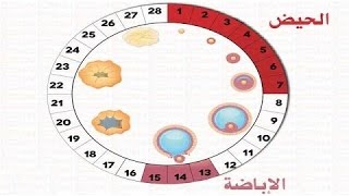 متى تكون ايام التبويض - احداث ايام التبويض 2100 2