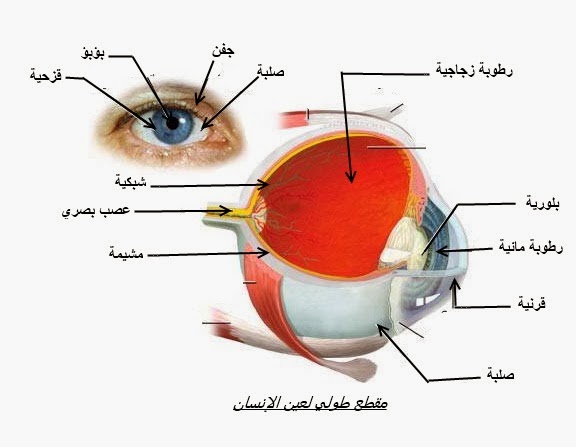 صور علمية - وسائل علمية حديثة