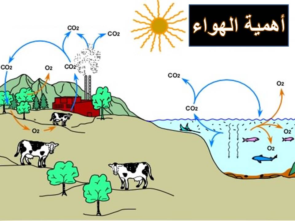 بحث عن الهواء - اهمية الهواء في حياتنا 12993 8