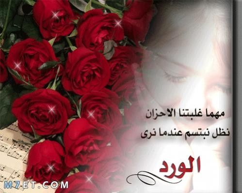 ورد صباح الورد، كلمات راقة وهادئة 17125 4