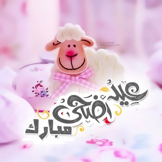 صور للعيد الاضحى , اجمل ايام العيد الاضحي