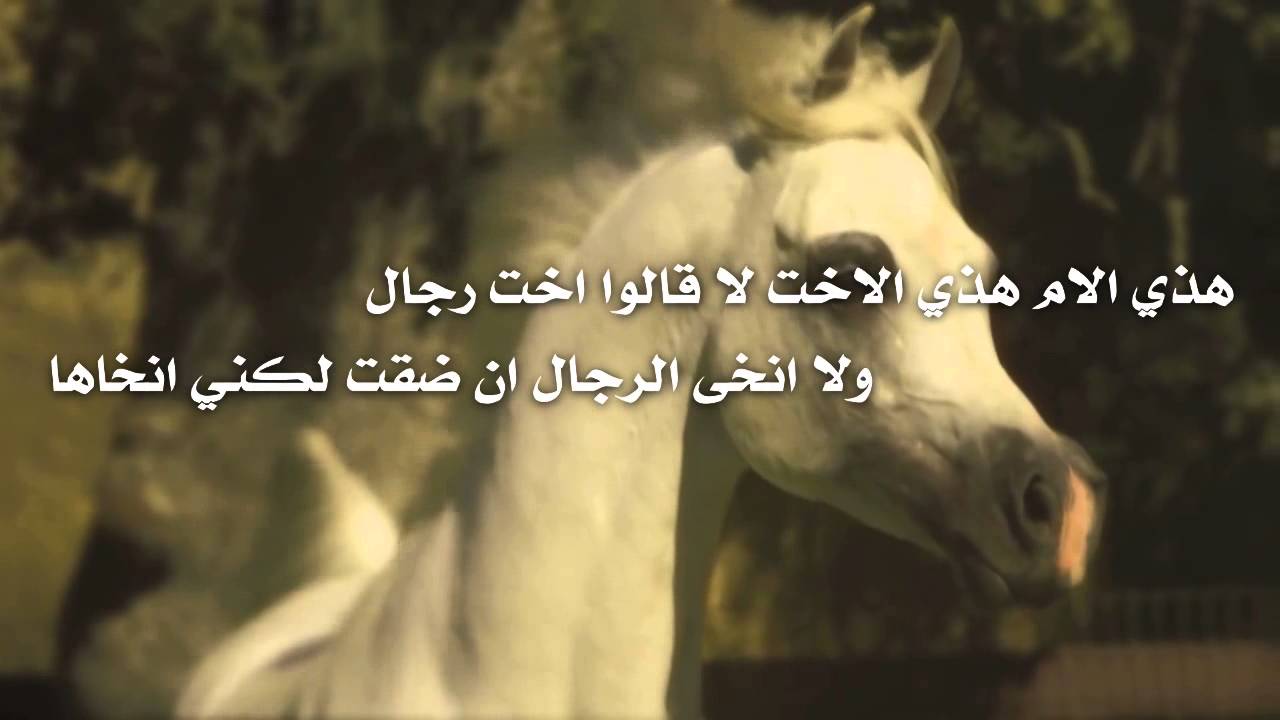 اجمل شعر غزل 5318 9