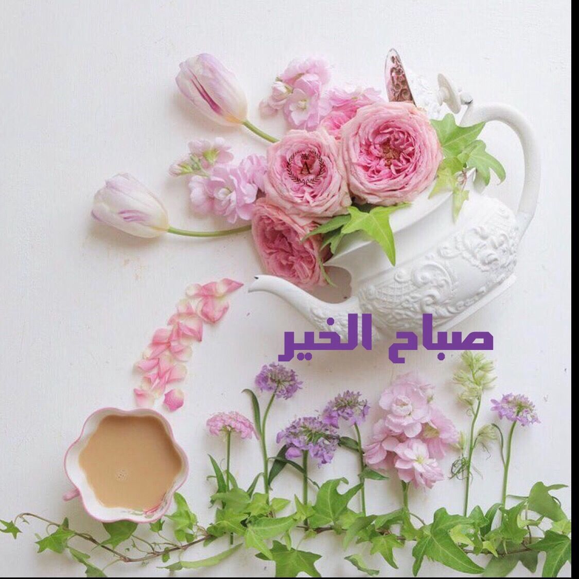 صورصباح الخير جديده - صور جديده لااجمل صباح 991 2