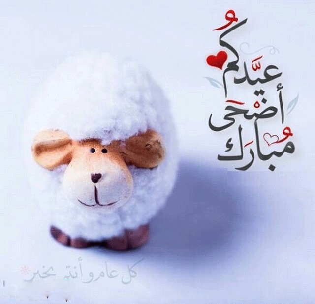 صور للعيد - تهنئه العيد بالصور 3193 3