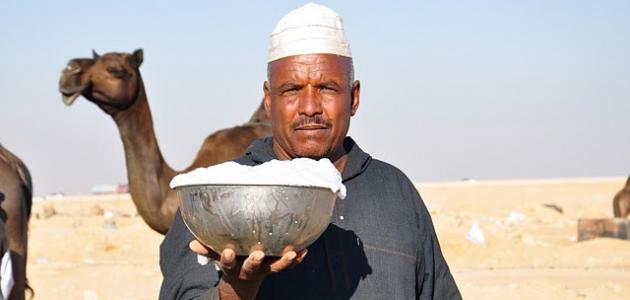 فوائد حليب الناقة , شرب حليب الناقة