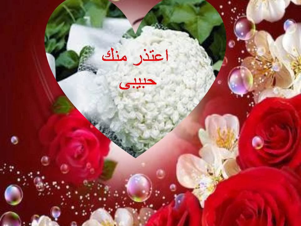 صور اعتذار للحبيب - احلى صور اعتذار 2311 6