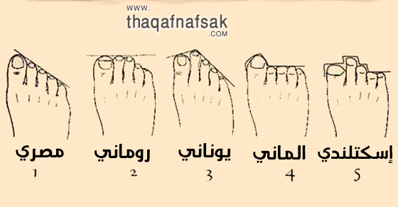 معلومات عن الجسد - اسماء اصابع القدم 12626 1