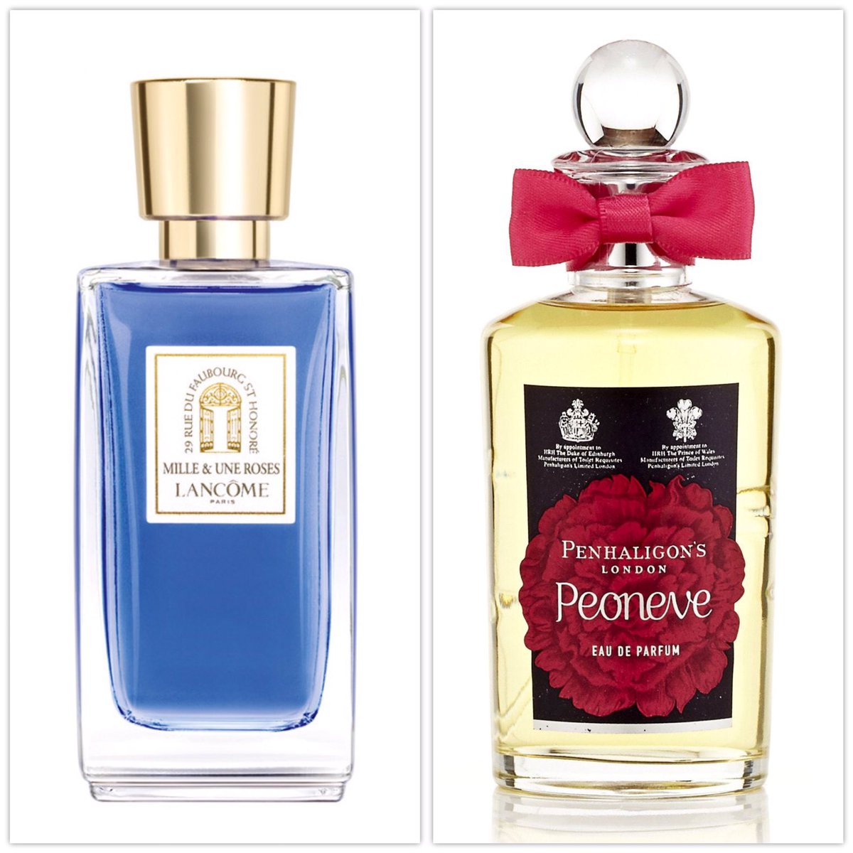 عطور لانكوم - افضل العطور للرجال وللنساء 1274 6