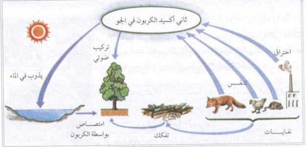 بحث عن الهواء - اهمية الهواء في حياتنا 12993 5