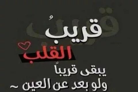 شعر عن الاصدقاء الاوفياء - شعر عن الصديق 4247 8