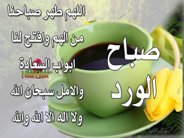 همسة صباحية - احلى عبارات الصباح 5149 5