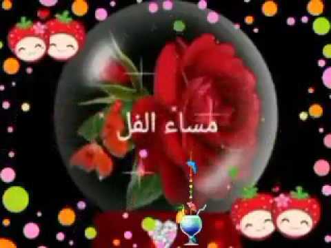 مساء الخيرات - اجمل مساء 1588 9