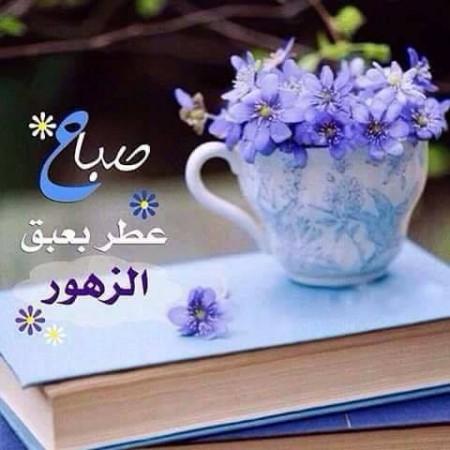 صورصباح الخير جديده - صور جديده لااجمل صباح 991 8