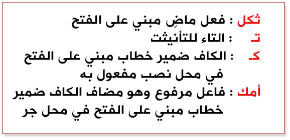 معنى ثكلتك امك- كلمات لها اكثر من معني حيرت الجميع 5730 1