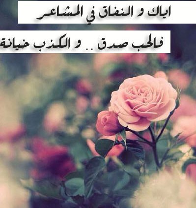 صور عن الصديقه - كلمات عن الصديق 4324 6