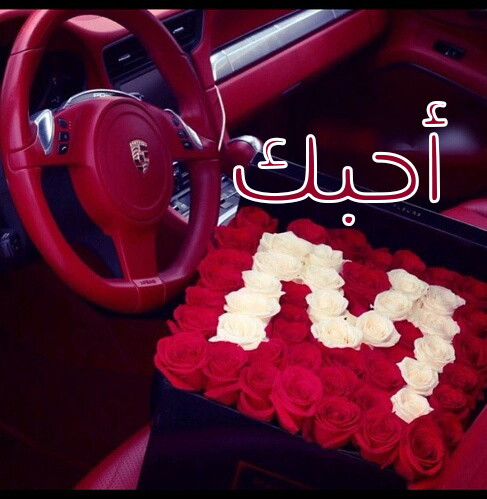 صور احبك - اجمل صور بحبك 2346 6