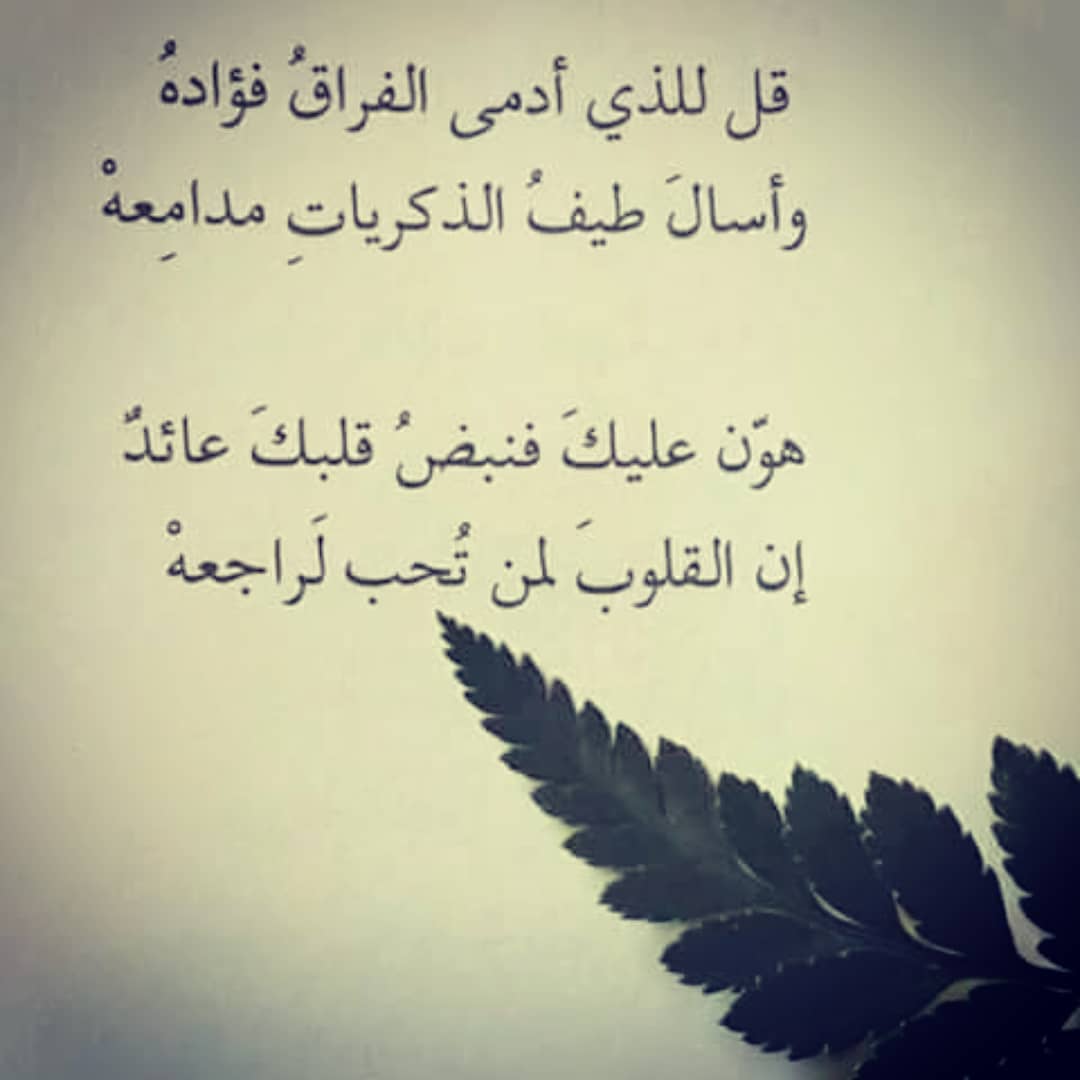 اجمل شعر غزل 5318 12