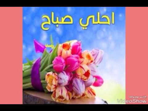 صباح جميل - اجمل صور عن الصباح 4544 7