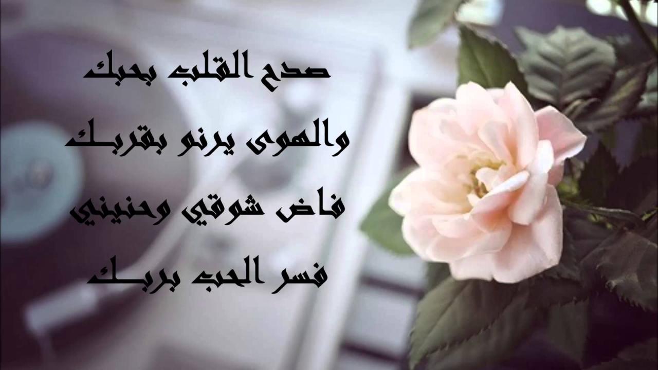 فوائد تعدد الزوجات 12882 10