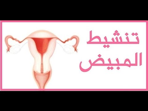 خلطة لتنشيط المبايض بعد الدورة - اريد الانجاب بسرعة 12900 2