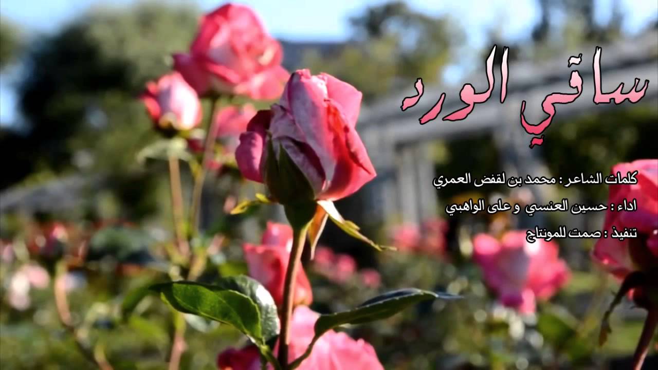 حكم عن الورد- ورود وازهار بشكل وطريقة مختلفة يجنن 6286 9