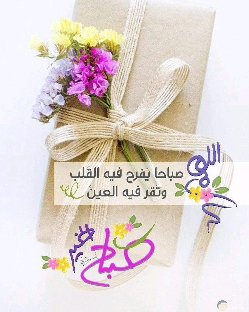 صور للصباح - صور للصباح تجنن 3638 8