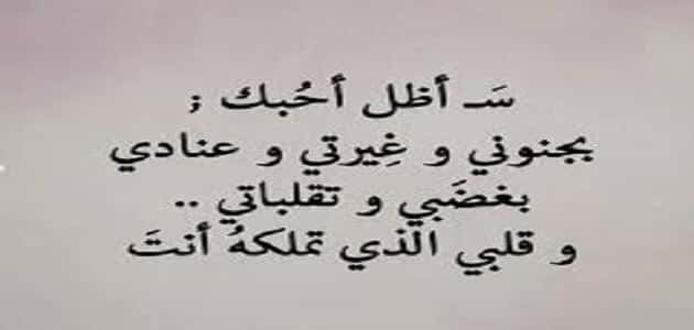 اجمل ماقيل في العشق- حكايتي مع الحب 6319 1