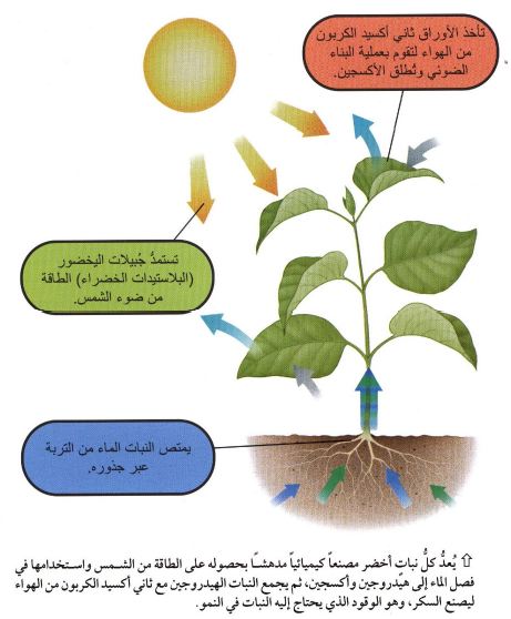 بحث عن الهواء - اهمية الهواء في حياتنا 12993 4