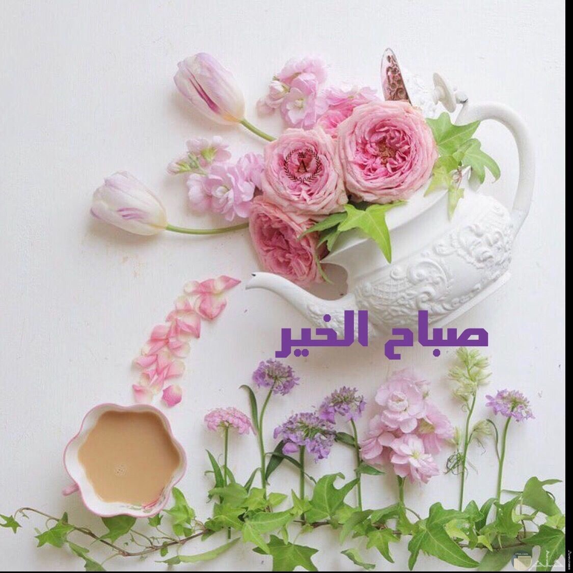 صور للصباح - صور للصباح تجنن 3638 12