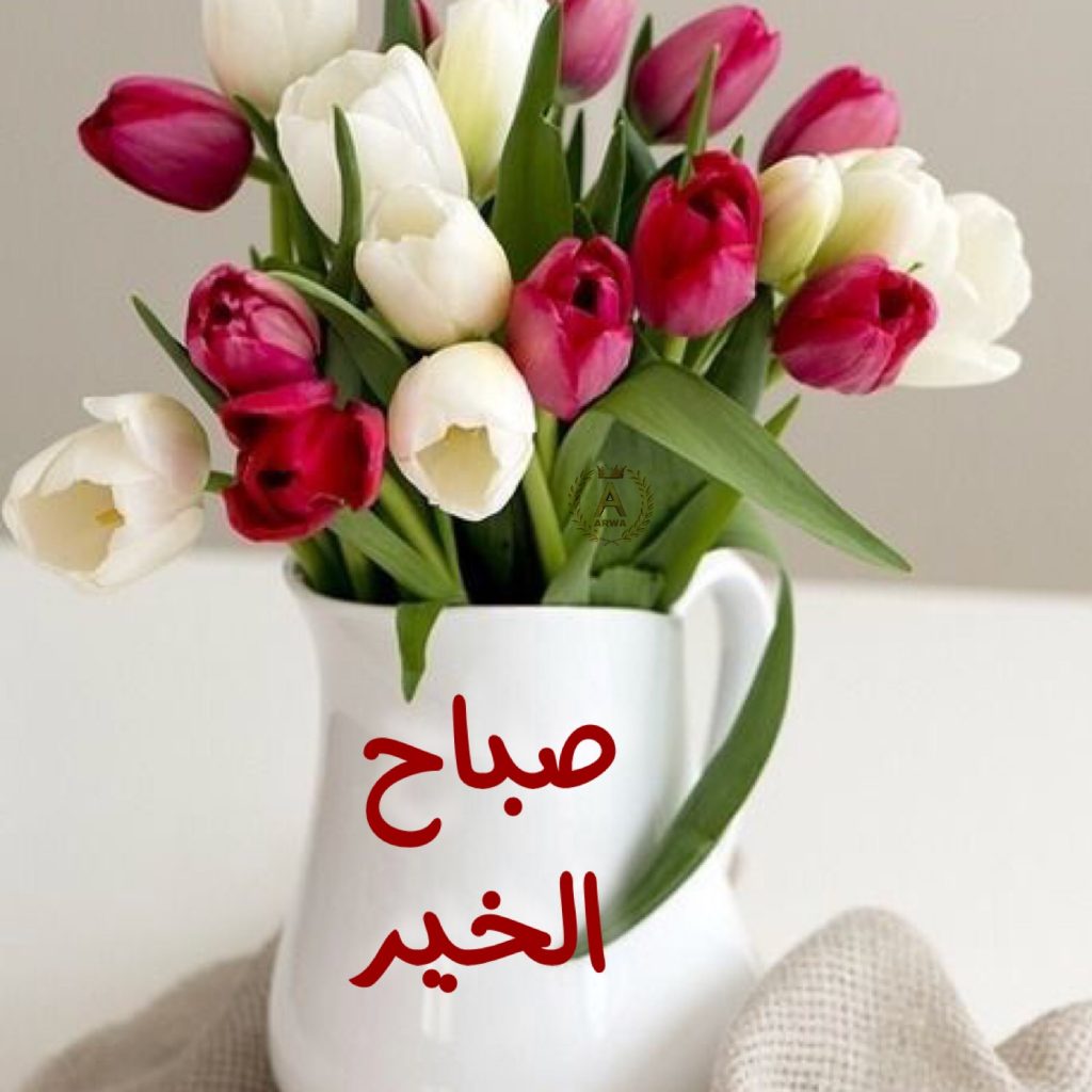 صور للصباح - صور للصباح تجنن 3638