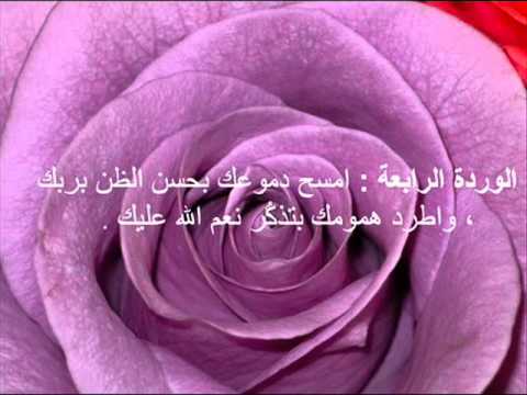 حكم عن الورد- ورود وازهار بشكل وطريقة مختلفة يجنن 6286 10