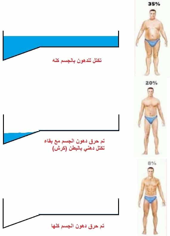 واه من الكرش وعمايله - اسرع طريقة لنزول الكرش 12610 1