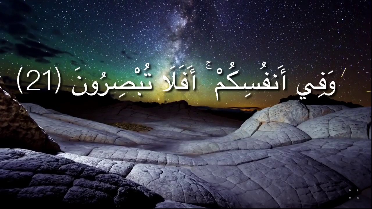 صور واتساب جميله - اجدد الصور للواتساب ف غايه الجمال والروعه 1539 2