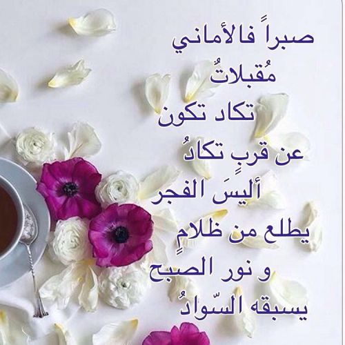 همسة صباحية - احلى عبارات الصباح 5149 12