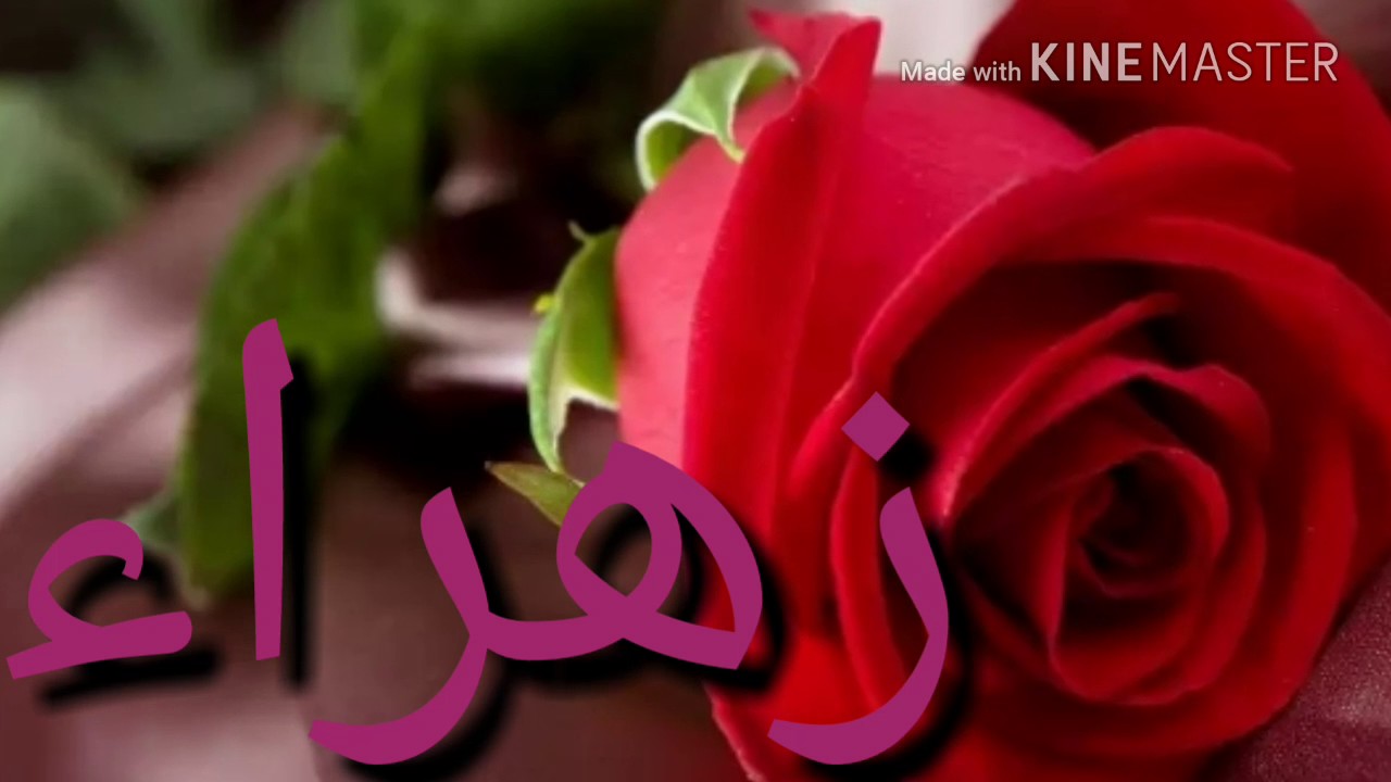 معنى اسم زهراء - معانى اسماء بنات 3784 6