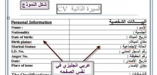 طريقة عمل Cv - السيرة الذاتية الناجحة 13000 11