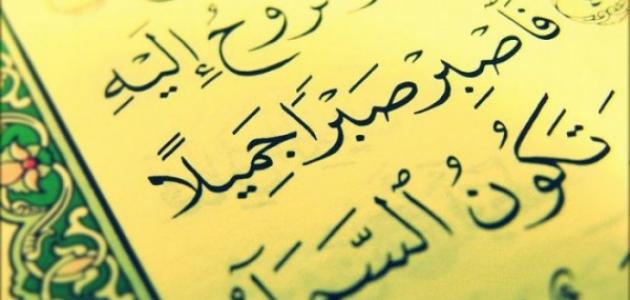 ما هي فوائد الصبر - الدليل على ان الصبر مفتاح الفرج 13165 3