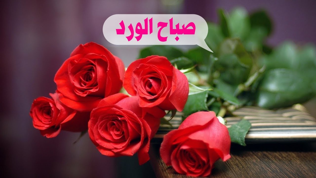 صباح الورد حبيبي صور - صور صباحيه بالعبارات لترسلها لمن تحب 1092 22