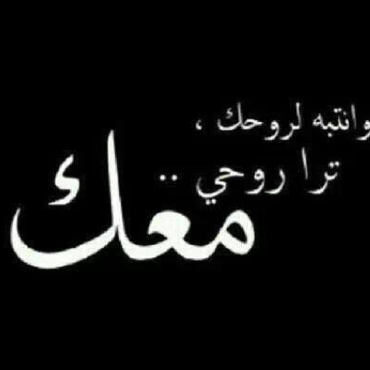 احبك بجنون - اجمل كلمه يقولها العاشق للمحبوب احبك بحنون 5901