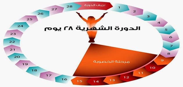 الايام المناسبة للحمل بعد الدورة الشهرية , طريقة سهلة لمعرفه ميعاد الولادة