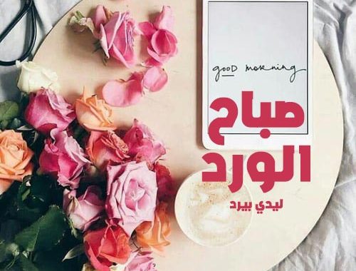 صور صباح الورد - اجمل صور مكتوبا عليها صباح الورد والفل 5366