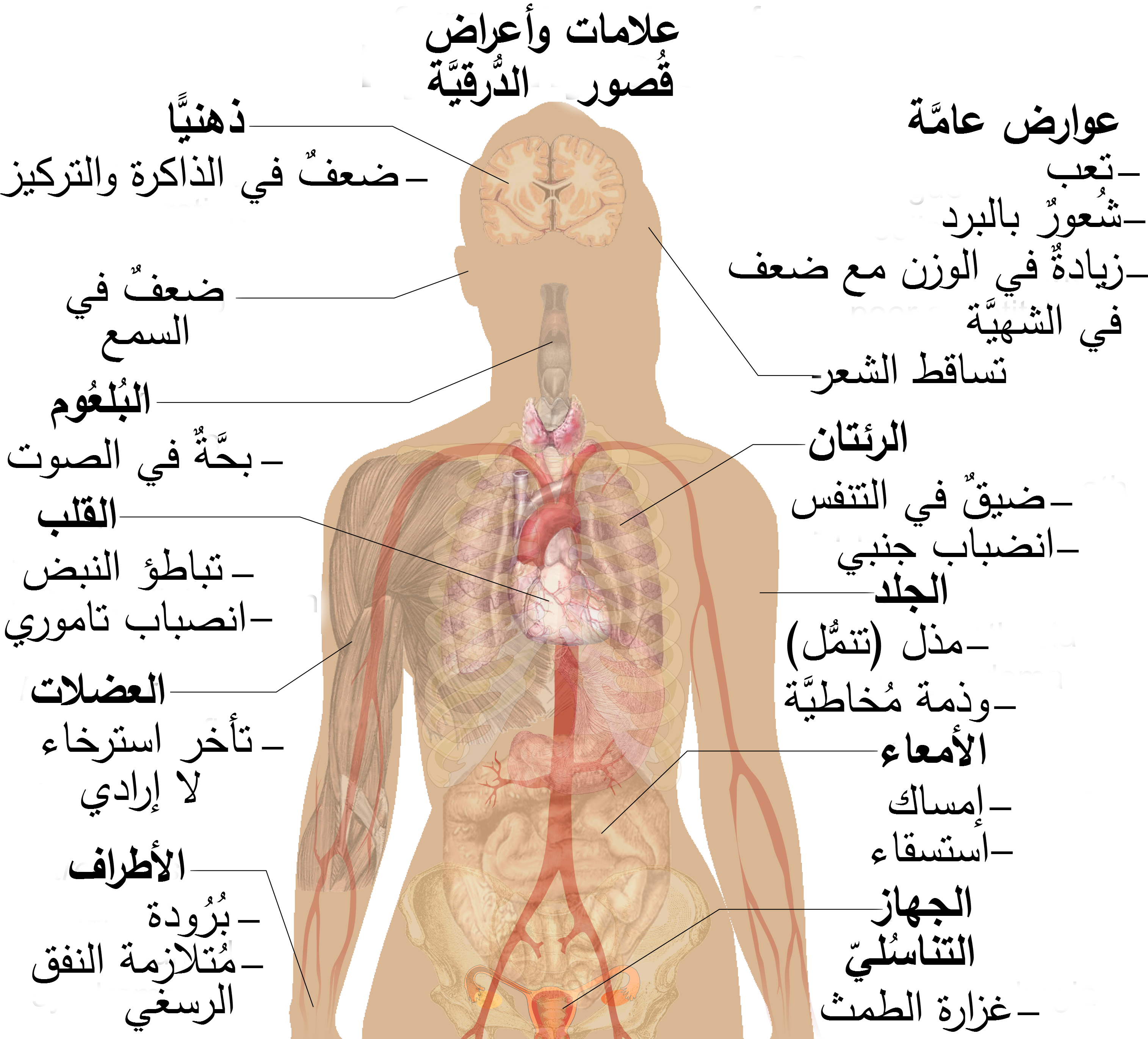 اعراض قصور الغدة الدرقية , اعراض الاصابة بالغدة