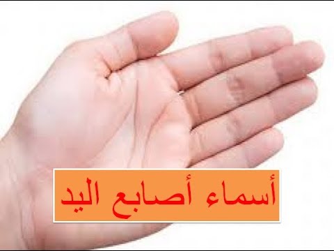 معلومات عن الجسد - اسماء اصابع القدم 12626 1