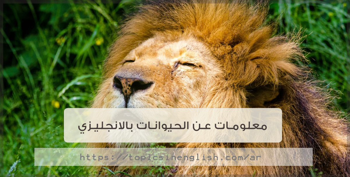 معلومات عن الحيوانات- ما وراء الطبيعة الحيوانية اسرار عجيبه 5531 3