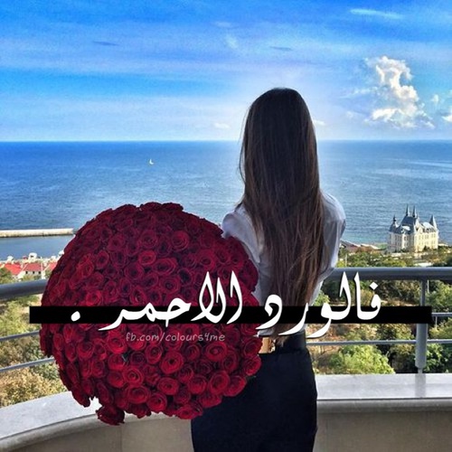 صور ورد رومانسي - اجمد صور للورد 4419 52