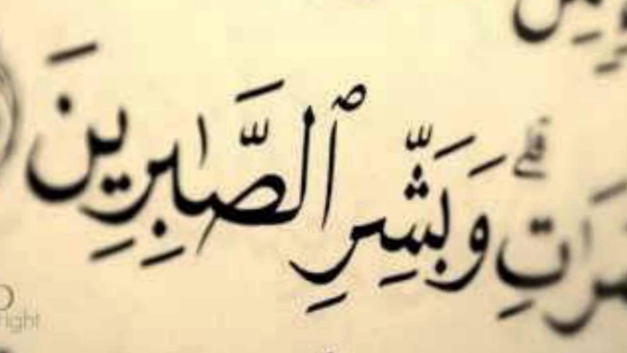 صور من الفيس بوك , شبكه التعامل العالم