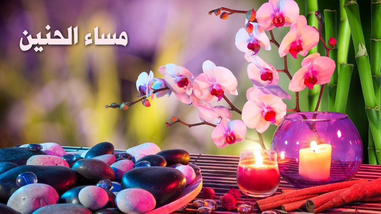 مساء الخير للغالين - اجمل العبارات المسائيه لنرسلها لاغلي الناس 1449 9